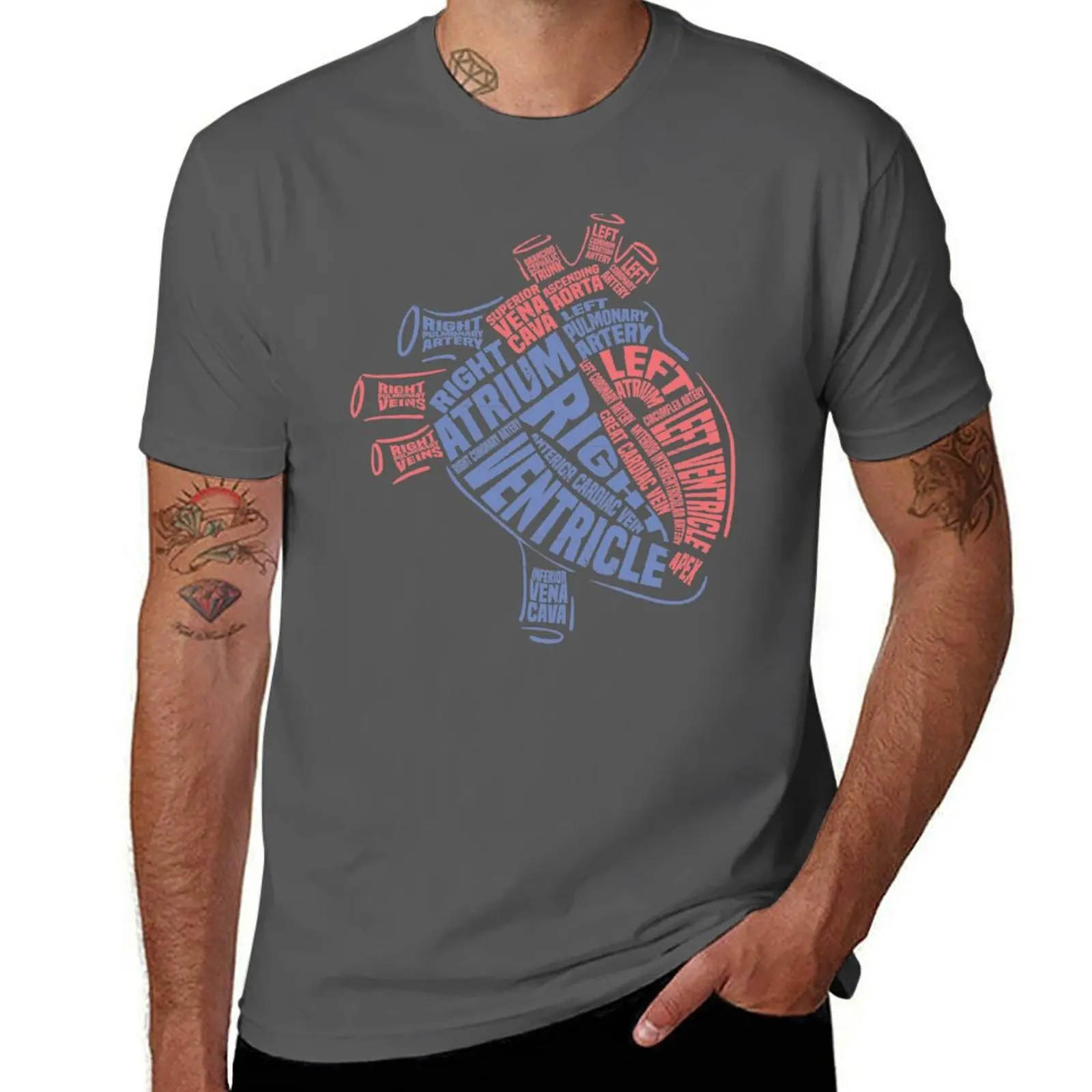 Medical Anatomy Heart Gift Heart Anatomical of Parts T-Shirt Soft Durable Cotton T-Shirt
Medical Anatomy Heart Gift Heart Anatomical of Parts T-Shirt Soft Durable Cotton T-Shirt
