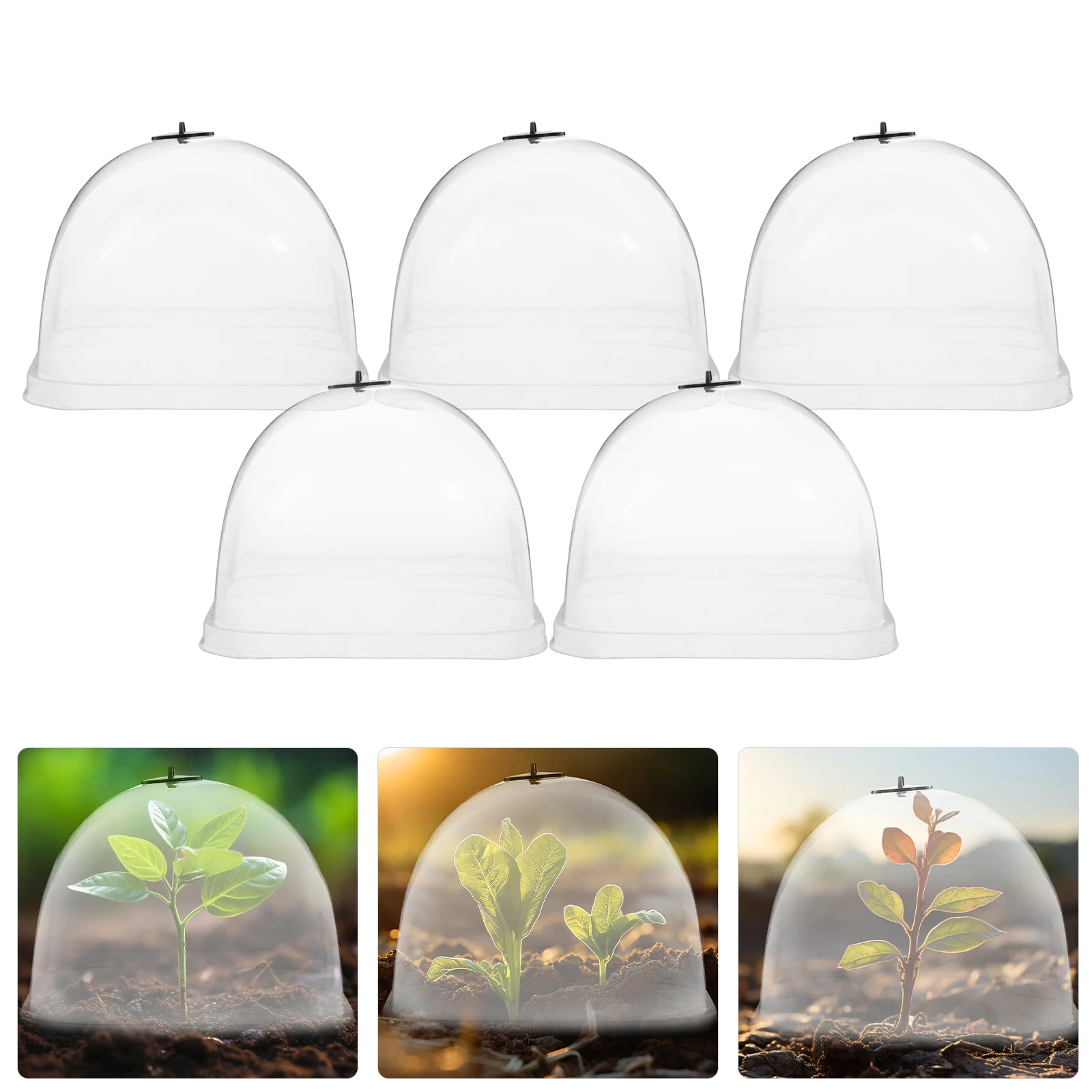 10 Pcs 12cm Garden Cloche Plant Dome Moisturizing Cover Frost Greenhouse Plastic Flowerpot Humidity Control Ventilation
10 Pcs 12cm Garden Cloche Plant Dome Moisturizing Cover Frost Greenhouse Plastic Flowerpot Humidity Control Ventilation