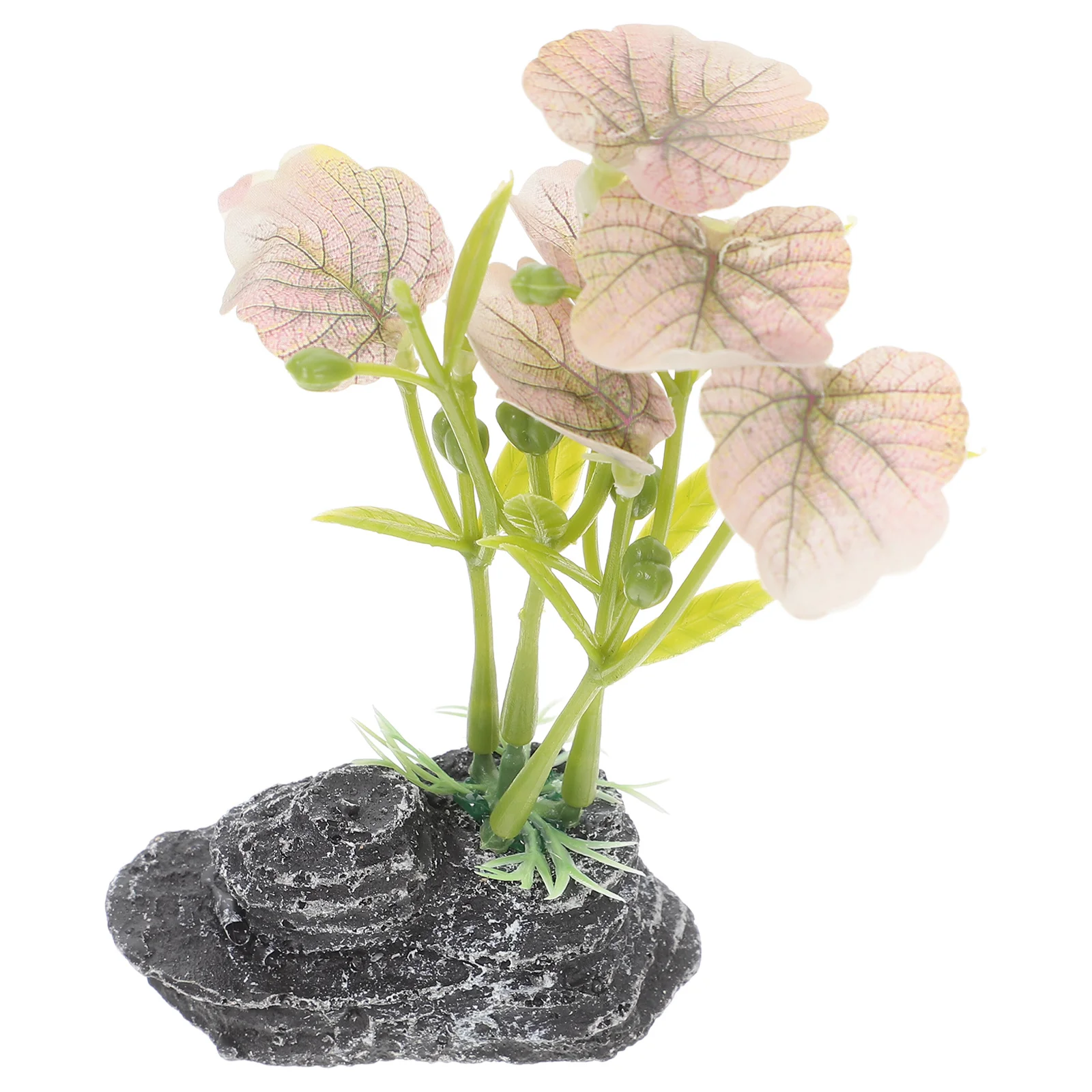 Artificial Reptile Plants Terrarium Decor Realistic Bearded Dragon Leopard Lizard Chameleon Ball Snake Frog Tank Accessories
Artificial Reptile Plants Terrarium Decor Realistic Bearded Dragon Leopard Lizard Chameleon Ball Snake Frog Tank Accessories