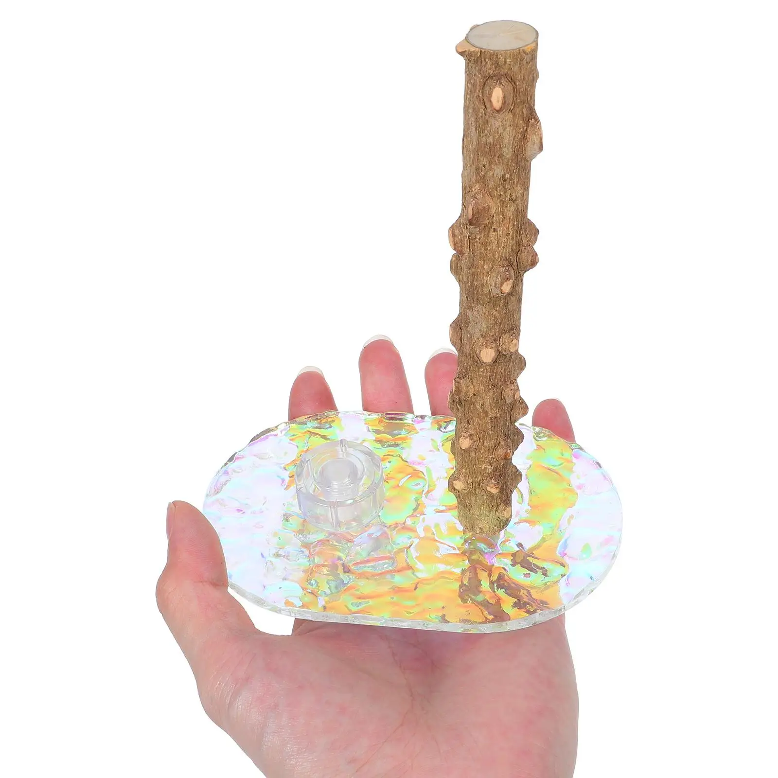 Parrot Platform Stand Natural Wood Perch Portable Suction Cup Bird Cage Accessories Safe Materials Textured Surface Pet Supplies
Parrot Platform Stand Natural Wood Perch Portable Suction Cup Bird Cage Accessories Safe Materials Textured Surface Pet Supplies