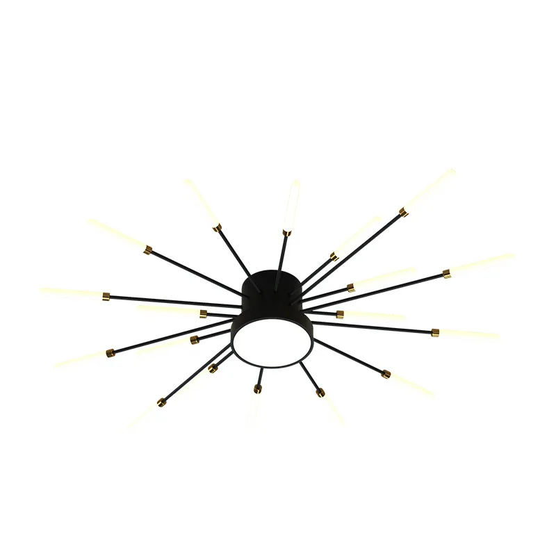 Modern Ceiling Light LED Chandelier Firework Shape Luster Indoor Lighting Bedroom Living Kids Room Kitchen Acrylic Lamps Fixture
Modern Ceiling Light LED Chandelier Firework Shape Luster Indoor Lighting Bedroom Living Kids Room Kitchen Acrylic Lamps Fixture