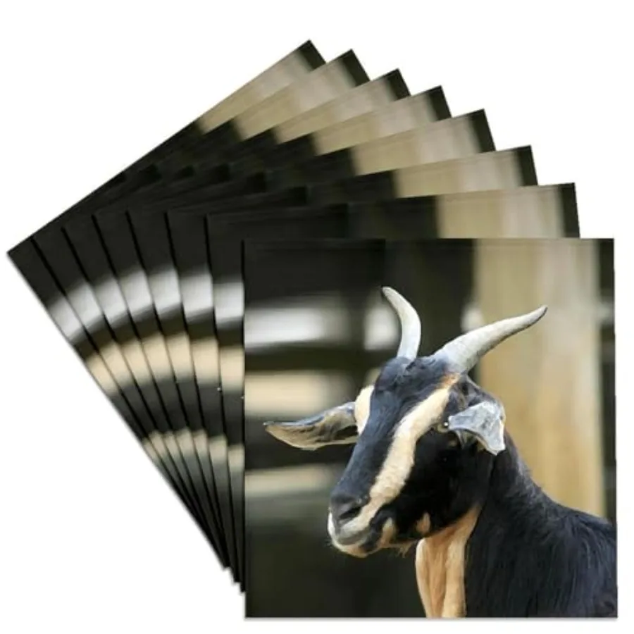 CST_4233_4 Goat Ceramic Tile Coasters Set of 8
CST_4233_4 Goat Ceramic Tile Coasters Set of 8