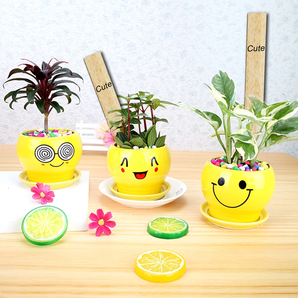 50Pcs Premium Wooden Plant Labels Rustic Garden Markers for Indoor Outdoor Use Plant Id Tags for Greenhouse Herb
50Pcs Premium Wooden Plant Labels Rustic Garden Markers for Indoor Outdoor Use Plant Id Tags for Greenhouse Herb