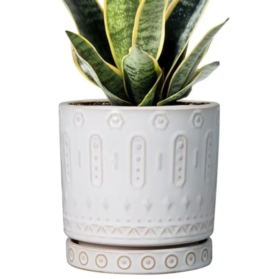 Pot for Plants Ceramic Planter for Indoor Plants Decorative Plant Pot with Drainage Holes and Saucer Outdoor Flower Pot Modern
Pot for Plants Ceramic Planter for Indoor Plants Decorative Plant Pot with Drainage Holes and Saucer Outdoor Flower Pot Modern