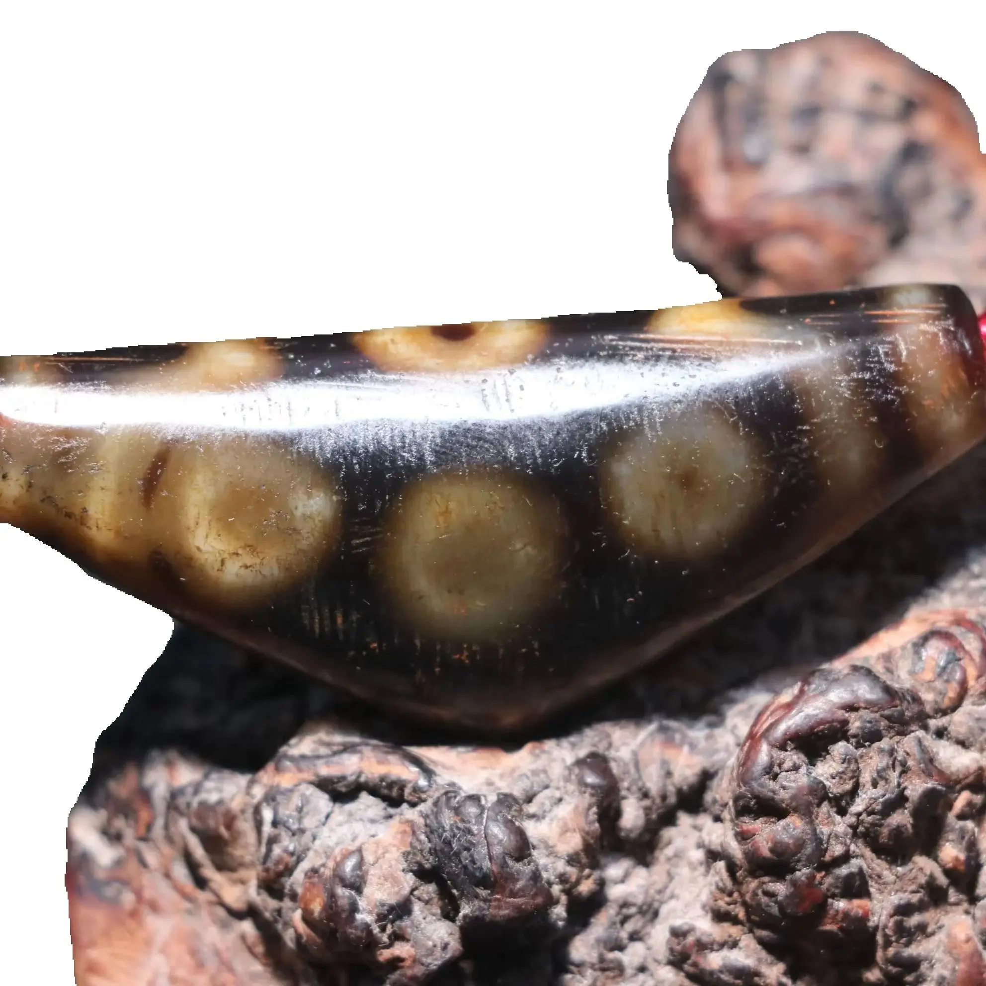 CONGXINZAI100500903775 Тибетский старый агат в форме рога, большая удача, 7-глазый тотем, дзи, кулон из бисера, амулет, ювелирные изделия, драгоценный камень, Таймстаун
CONGXINZAI100500903775 Тибетский старый агат в форме рога, большая удача, 7-глазый тотем, дзи, кулон из бисера, амулет, ювелирные изделия, драгоценный камень, Таймстаун