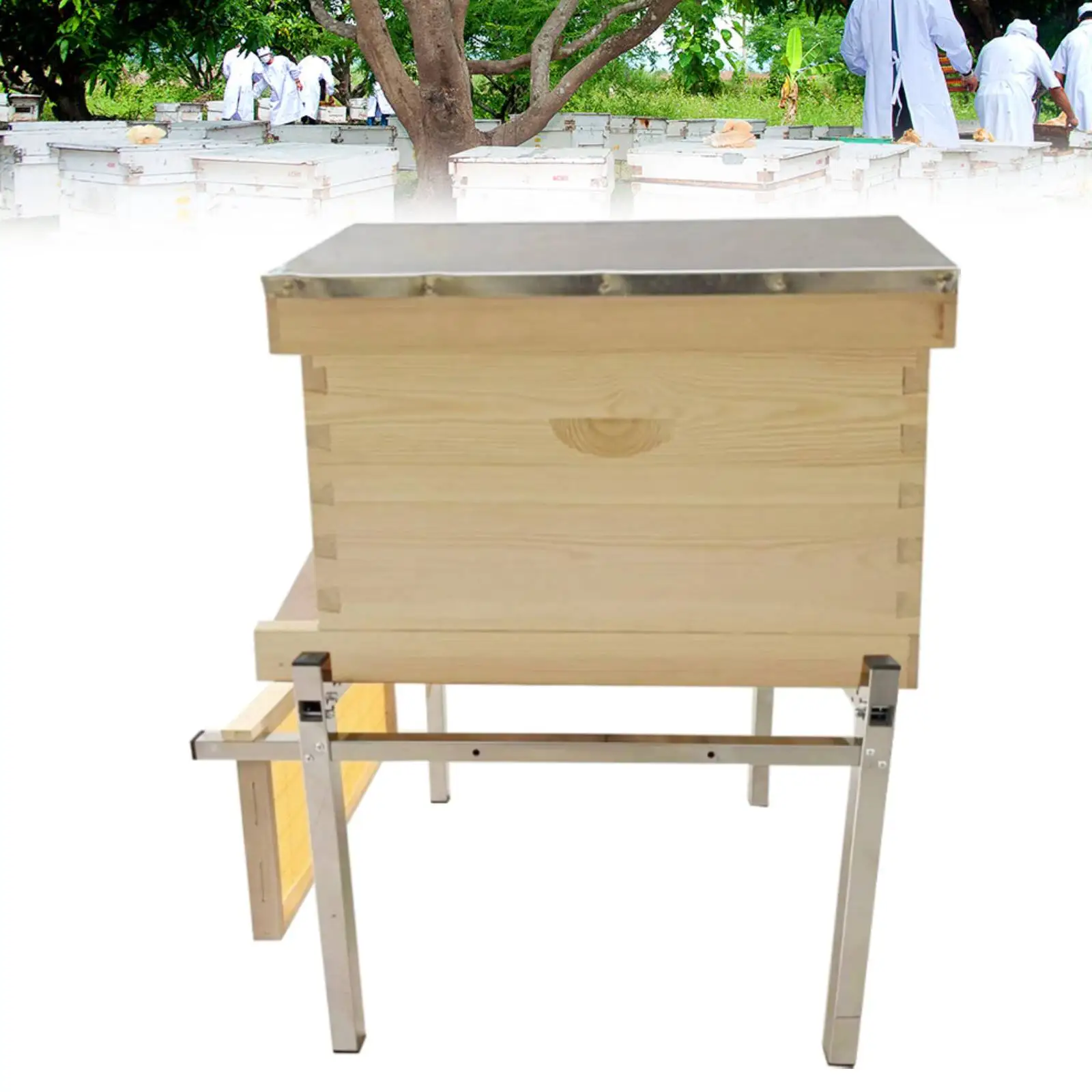 Stainless Steel Beehive Stand Beehive Support Beehive Component
Stainless Steel Beehive Stand Beehive Support Beehive Component