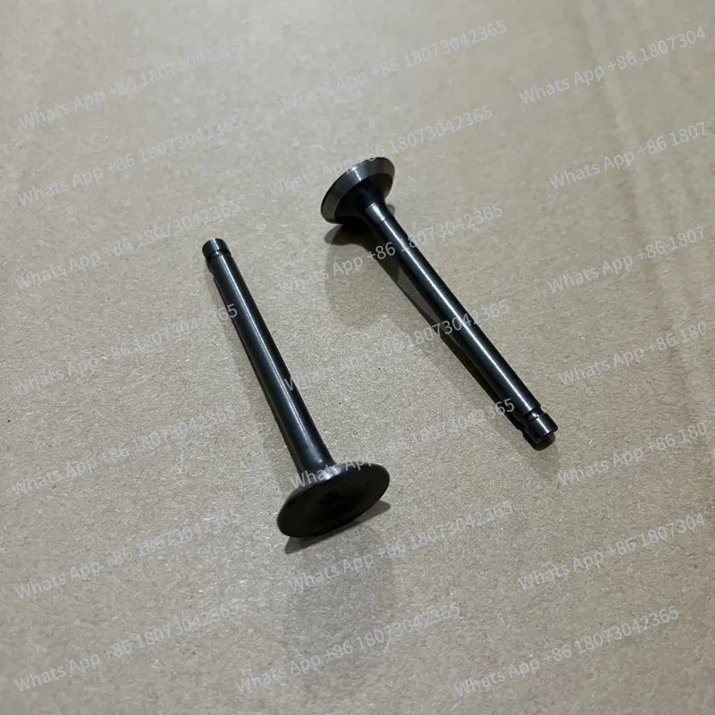 1 КОМПЛЕКТ КЛАПАНА EH12 IN. & EX. НАБОР ДЛЯ ROBIN SUBARU EH-12 EH12-2D EH12-2B ГЕНЕРАТОР ВХОДНОЙ ВХОДНОЙ ВХЛОП
1 КОМПЛЕКТ КЛАПАНА EH12 IN. & EX. НАБОР ДЛЯ ROBIN SUBARU EH-12 EH12-2D EH12-2B ГЕНЕРАТОР ВХОДНОЙ ВХОДНОЙ ВХЛОП