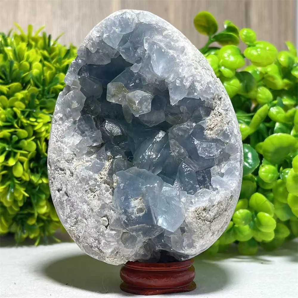 Blue Celestite Egg Specimen Cluster Stone Stone Quartz Reiki Carving Healing Mineral Specimen Home Stone Decoration Energy +Stan
Blue Celestite Egg Specimen Cluster Stone Stone Quartz Reiki Carving Healing Mineral Specimen Home Stone Decoration Energy +Stan