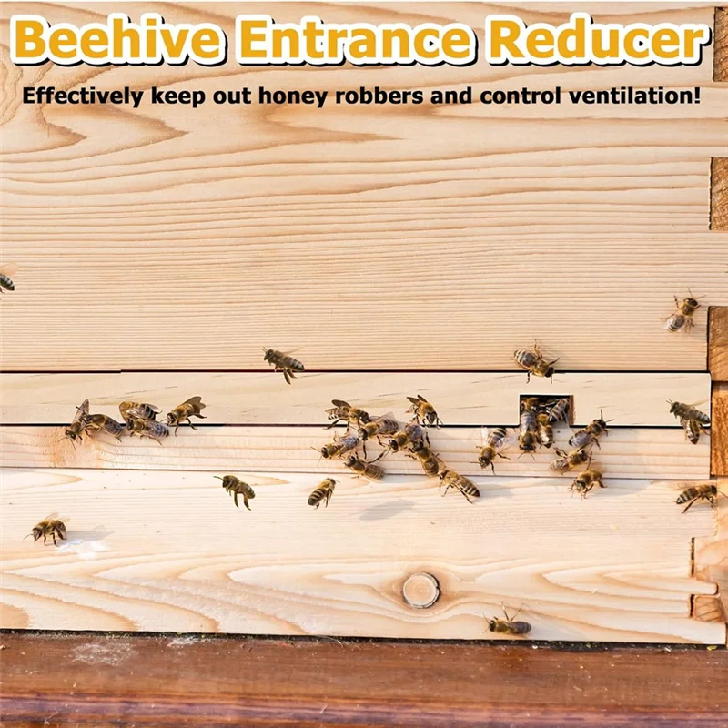 ABZC-Beekeeping Essentials: Wooden 6 Pack Beehive Entrance Reducer For 10 Frame Hive With 2 Opening Sizes
ABZC-Beekeeping Essentials: Wooden 6 Pack Beehive Entrance Reducer For 10 Frame Hive With 2 Opening Sizes
