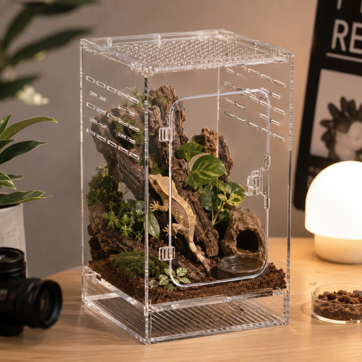 Acrylic Terrarium Reptile Habitat Climbing Arboreal Transparent Box For Geckos Frogs Spiders Small Large
Acrylic Terrarium Reptile Habitat Climbing Arboreal Transparent Box For Geckos Frogs Spiders Small Large