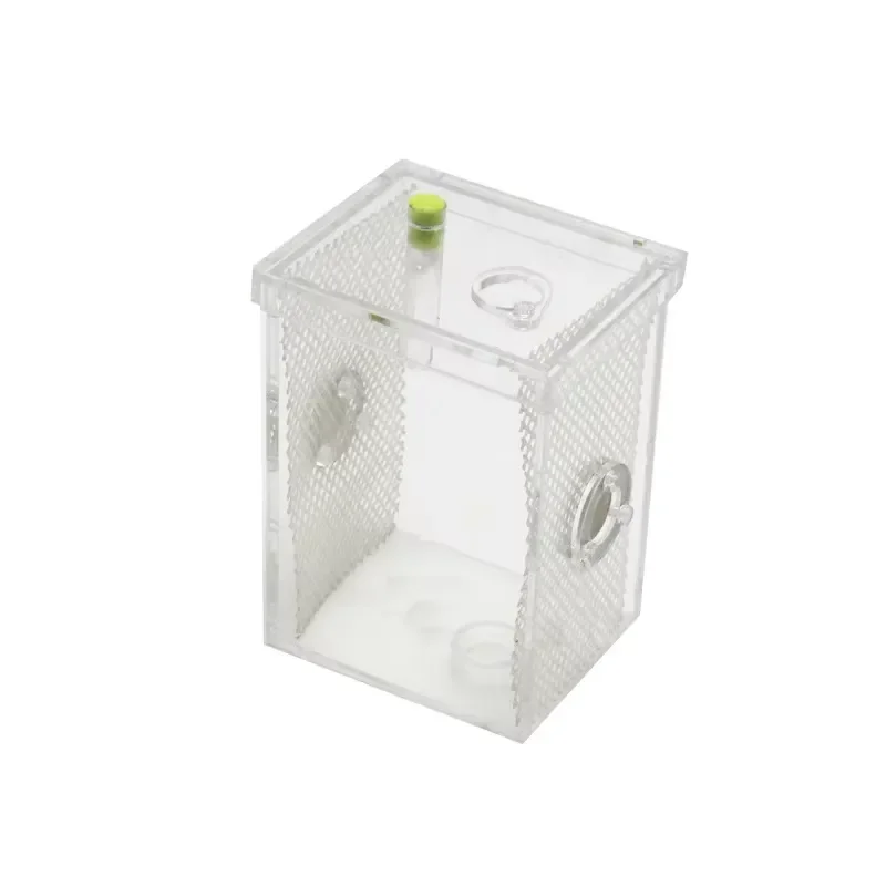 Acrylic Transparent Wet Reptile Insect Tank Breeding Box for Pets Turtles Feeder Terrarium
Acrylic Transparent Wet Reptile Insect Tank Breeding Box for Pets Turtles Feeder Terrarium