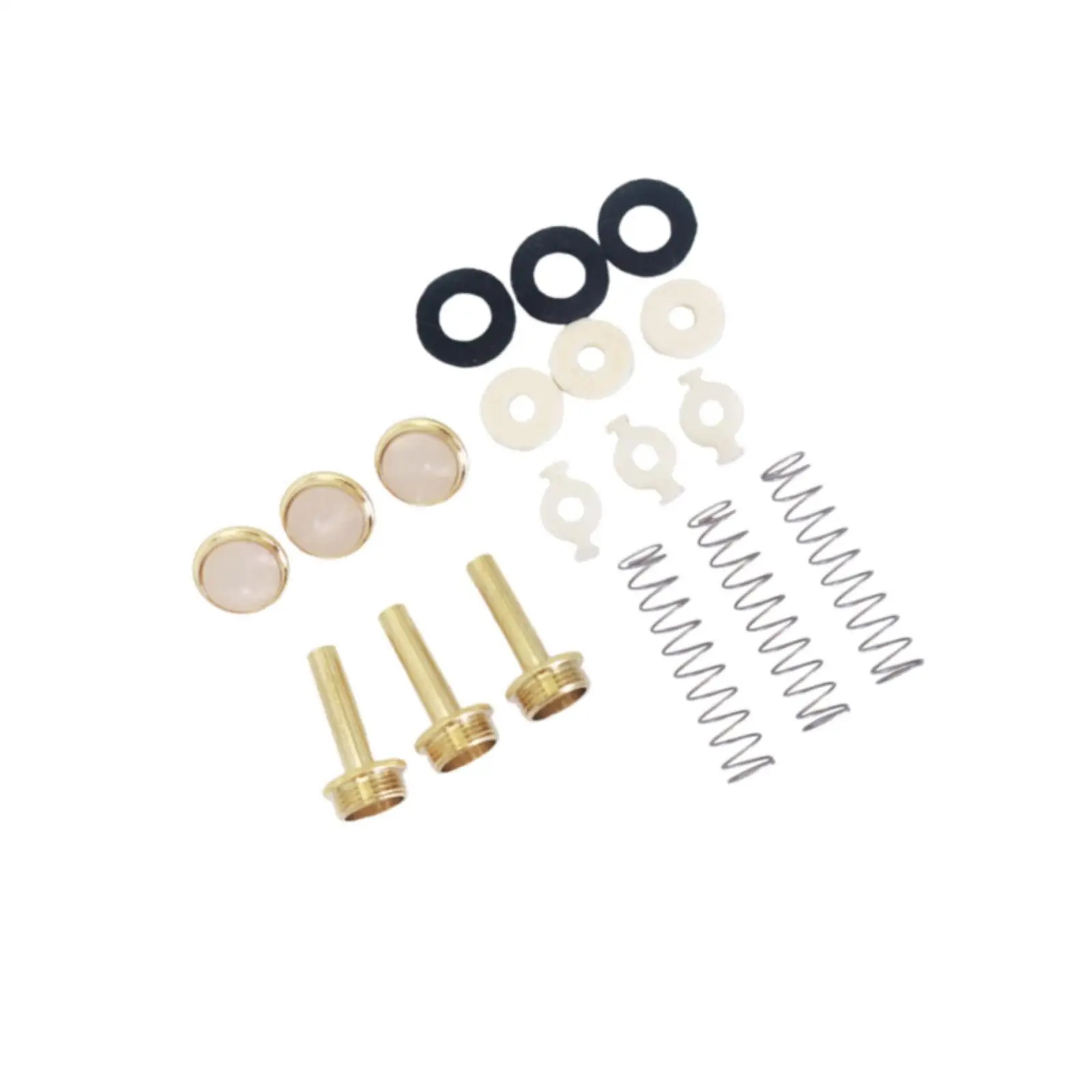 Portable Trumpet Repair Tool with Valve Felts Washers Springs Maintenance Kit for Repairing Brass Instruments
Portable Trumpet Repair Tool with Valve Felts Washers Springs Maintenance Kit for Repairing Brass Instruments