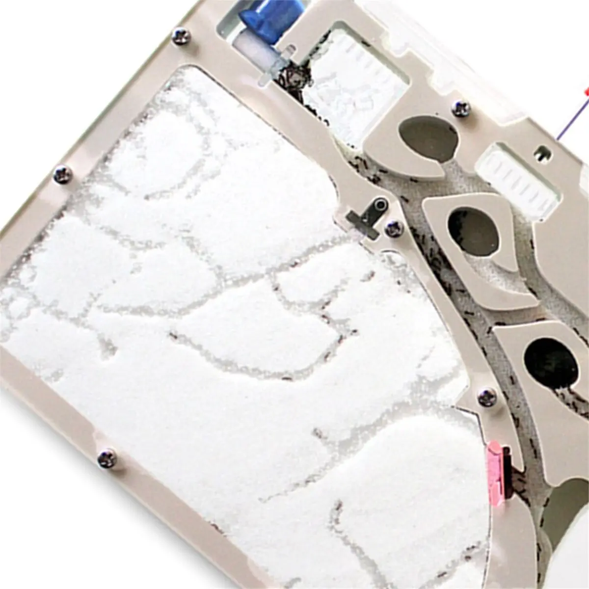 【AT48】 NEW Funny Ant Castle with Sand Ant Nest Home Children Educational Bio Art Ant Farm Underground Ecology Castle Ant Cage
【AT48】 NEW Funny Ant Castle with Sand Ant Nest Home Children Educational Bio Art Ant Farm Underground Ecology Castle Ant Cage