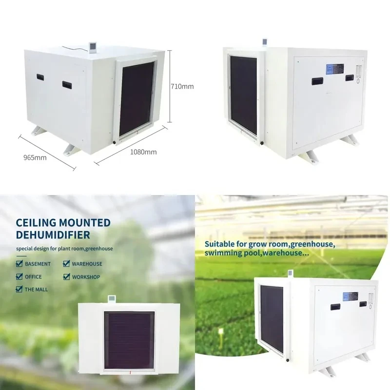 AP01 Industrial Dehumidifier for Farms Home Use Restaurants 220V Ceiling Duct Type New Used Compressor Motor PLC Core
AP01 Industrial Dehumidifier for Farms Home Use Restaurants 220V Ceiling Duct Type New Used Compressor Motor PLC Core