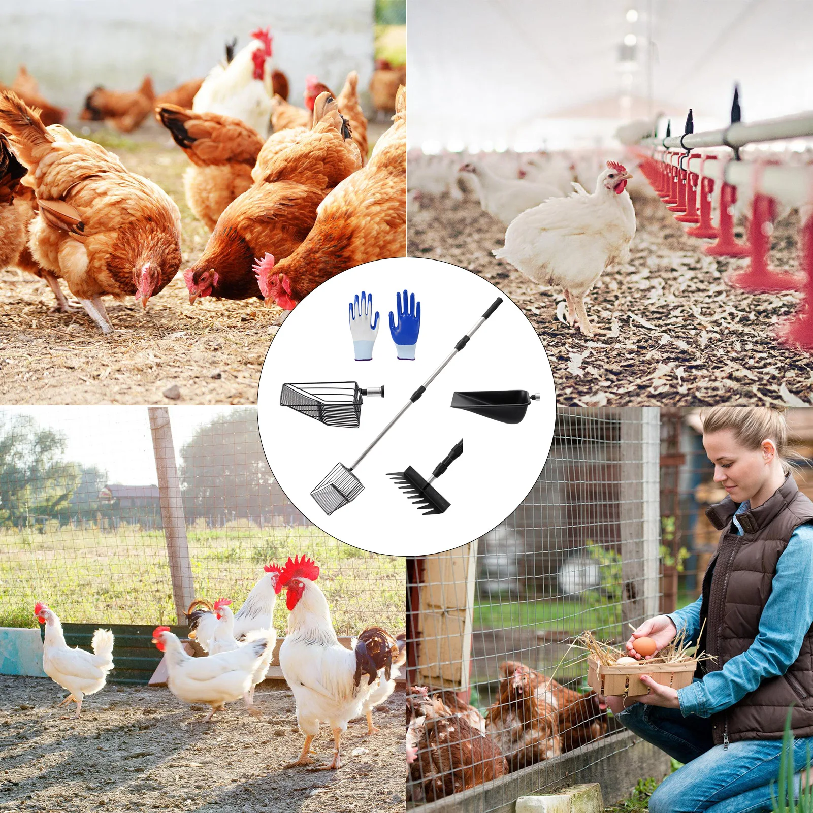 Chicken Litter Scooper with Long Handle Durable Stainless Steel Chicken Manure Tools for Parrots Cockatiels Finches
Chicken Litter Scooper with Long Handle Durable Stainless Steel Chicken Manure Tools for Parrots Cockatiels Finches