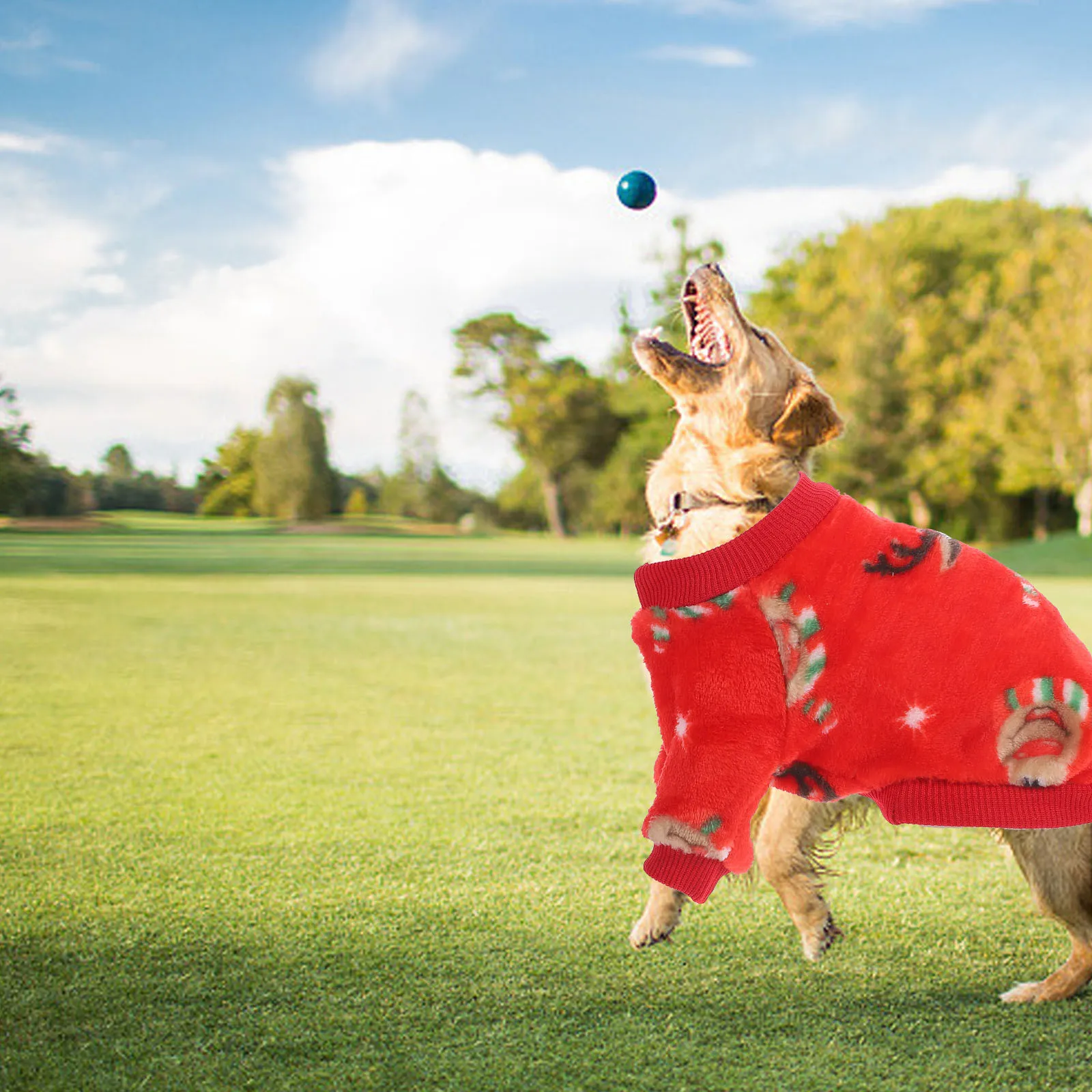 Christmas Xmas Pet Clothes Dog Costume Comfortable Breathable Winter Warm Puppy Cat Clothes M Festival Wear Puppy Costume
Christmas Xmas Pet Clothes Dog Costume Comfortable Breathable Winter Warm Puppy Cat Clothes M Festival Wear Puppy Costume