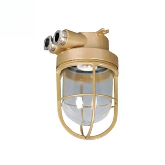 IP56 E27 220v 60w Marine Incandescent Navigation Pendant Light with Guard
IP56 E27 220v 60w Marine Incandescent Navigation Pendant Light with Guard