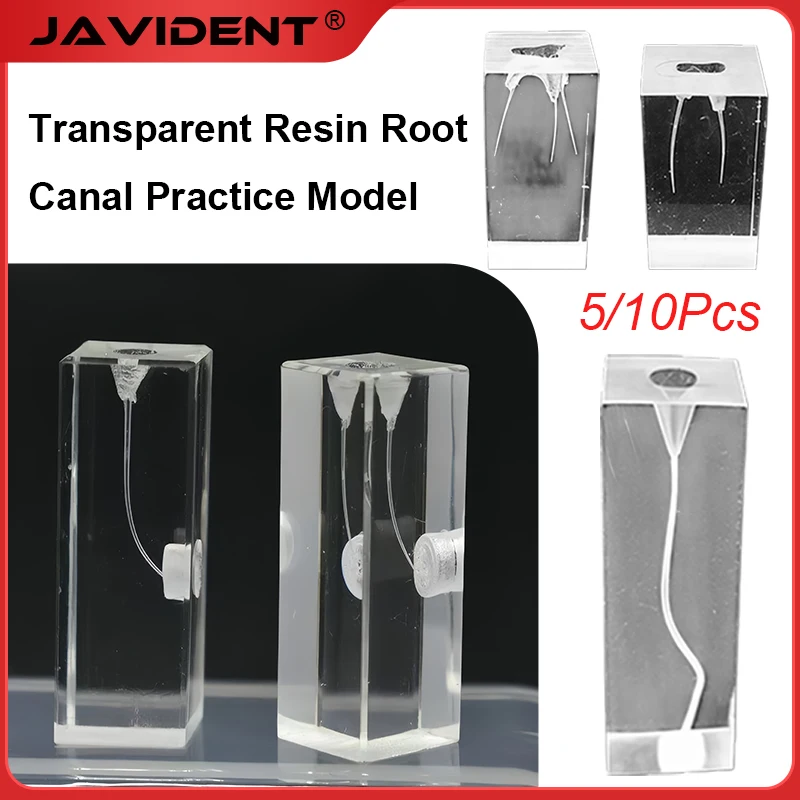 Dental Materials and Equipment Transparent Dental Root Canal Models Single- and Multi-Root Preparation Drills Enlargement Drills
Dental Materials and Equipment Transparent Dental Root Canal Models Single- and Multi-Root Preparation Drills Enlargement Drills