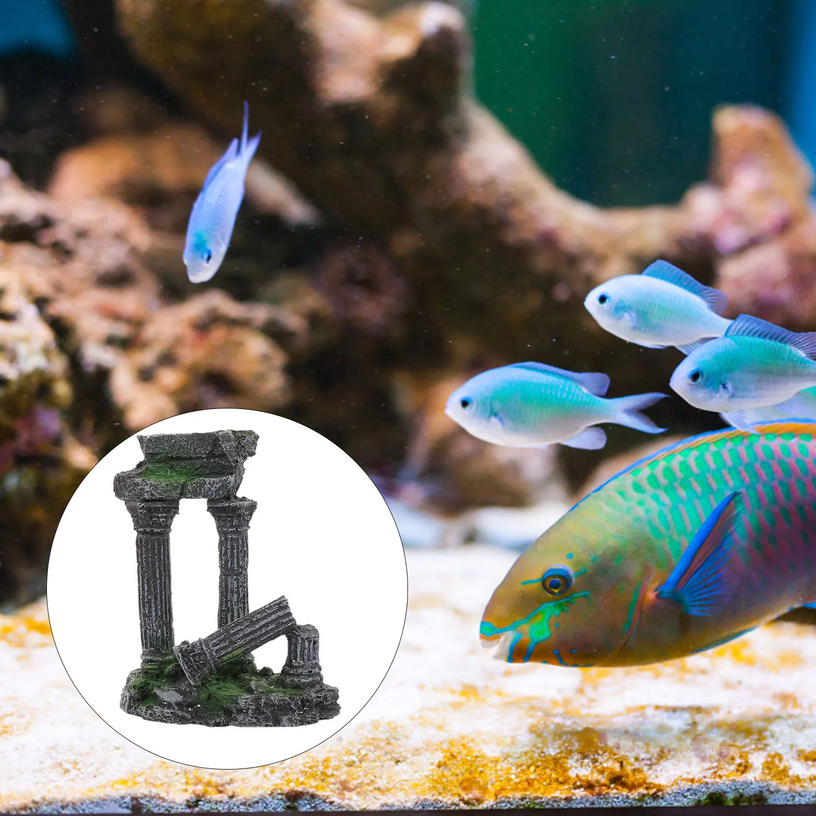 Resin Aquarium Roman Column Fish Tank Ornament Elegant Fish Shelter Landscape Decoration Hiding Cave Craft Aquarium Ornament
Resin Aquarium Roman Column Fish Tank Ornament Elegant Fish Shelter Landscape Decoration Hiding Cave Craft Aquarium Ornament