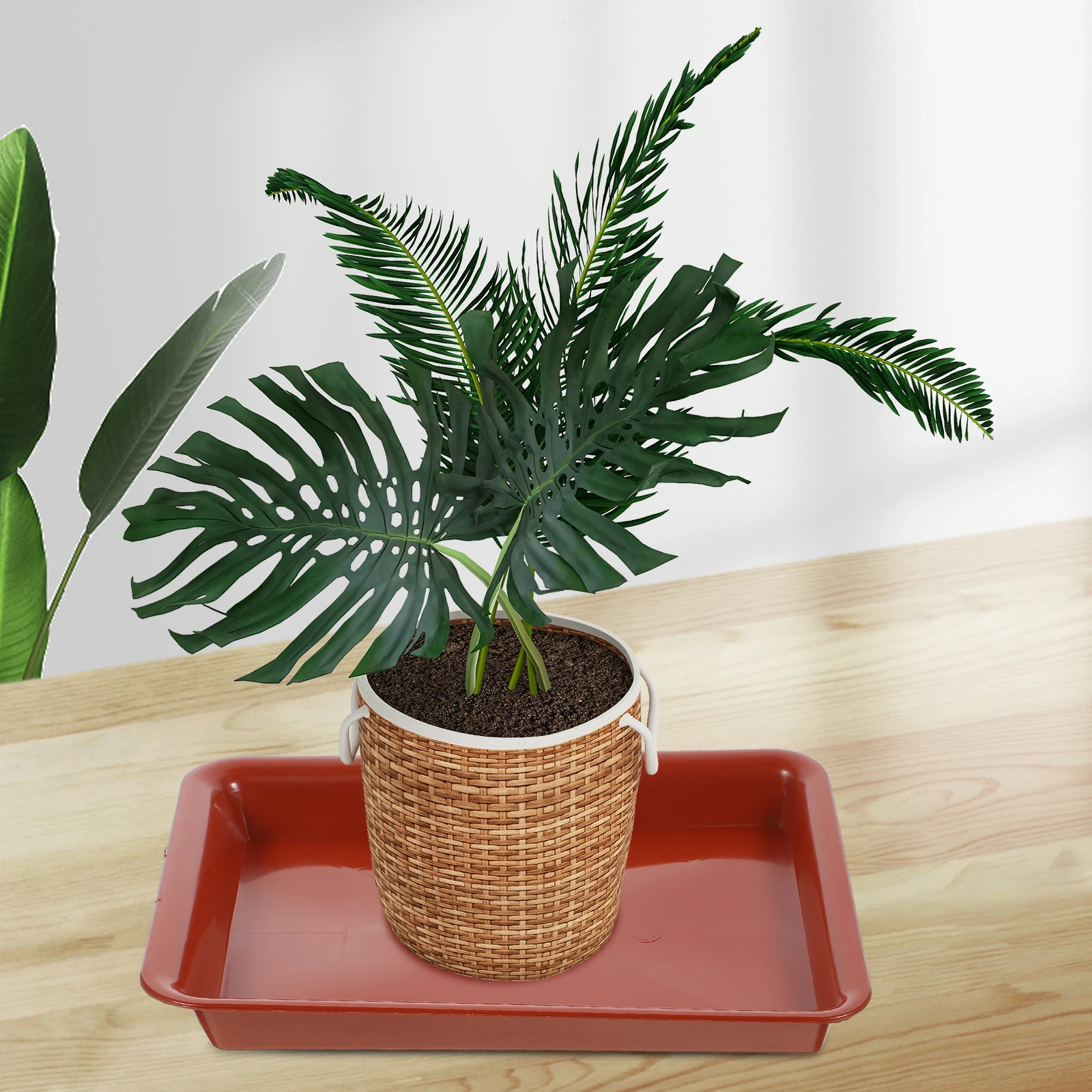 10Pcs Plastic Plant Saucer Rectangular Pot Tray Water Catcher Indoor Outdoor Garden Planter Drainage Tray Plant Saucers
10Pcs Plastic Plant Saucer Rectangular Pot Tray Water Catcher Indoor Outdoor Garden Planter Drainage Tray Plant Saucers