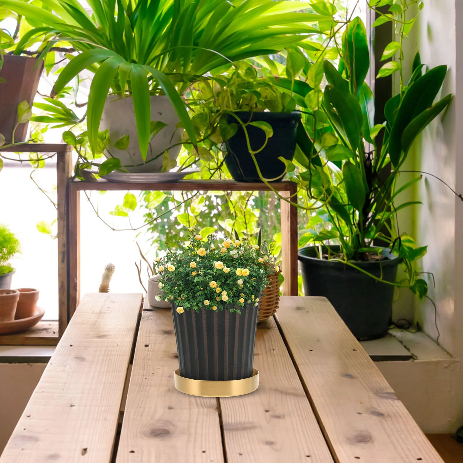 Tray Drainage Flower Pot Bottom Drip Trays for Potted Plants Flowerpot Base Golden Watering
Tray Drainage Flower Pot Bottom Drip Trays for Potted Plants Flowerpot Base Golden Watering