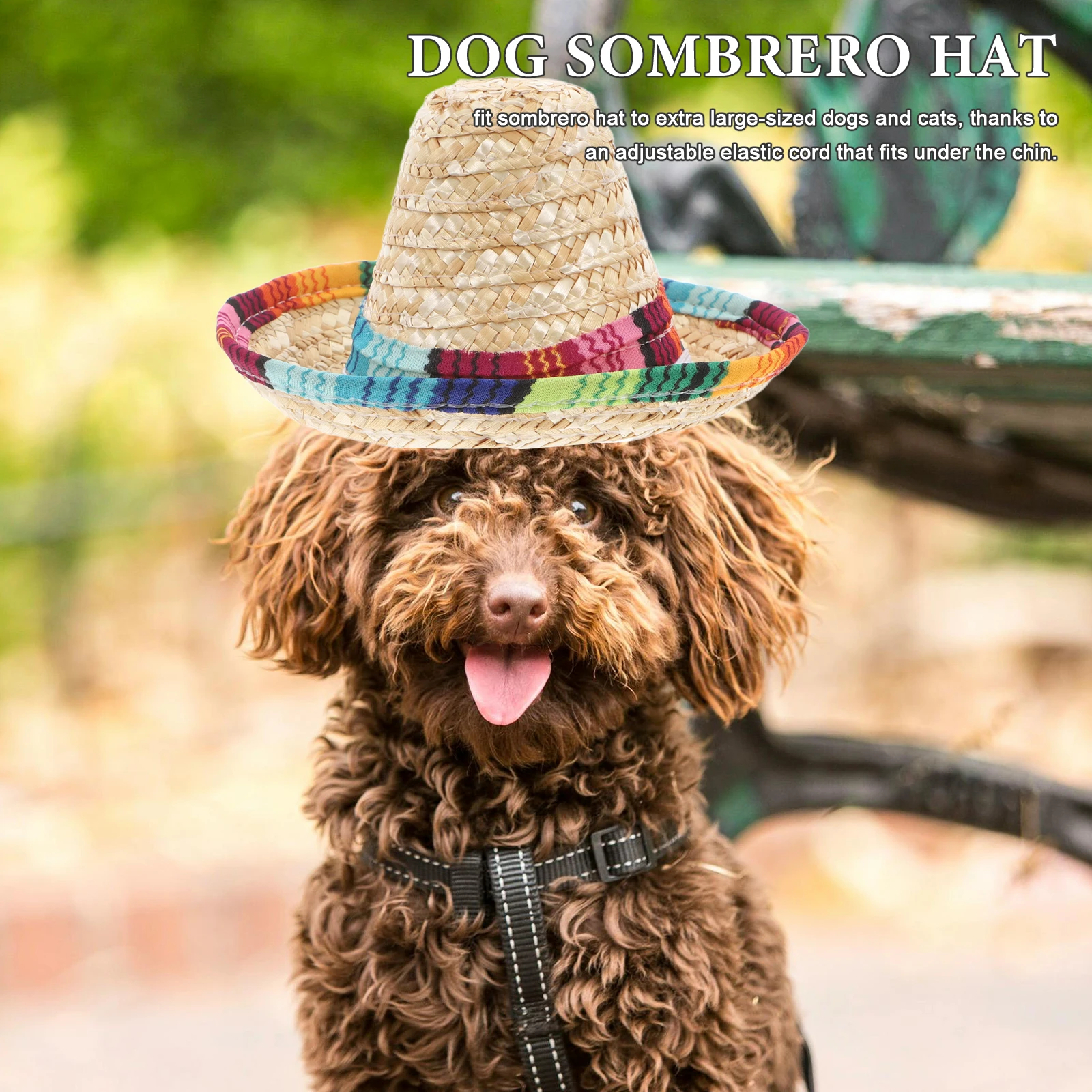 Pet Dog Straw Sombrero Hat Colorful Brim One Size Fits All Chihuahua Puppy Mexican Costume Halloween Party Supplies Wide Brim
Pet Dog Straw Sombrero Hat Colorful Brim One Size Fits All Chihuahua Puppy Mexican Costume Halloween Party Supplies Wide Brim