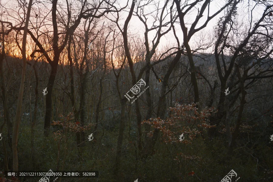 Комплект из 4 шин для радиоуправляемых багги 1/7 1/8, внедорожные, 110 мм, с шестигранным креплением 17 мм, для 1/7 KM Rally WRC Citron C3 MJX Hyper Go 7303 7304
Комплект из 4 шин для радиоуправляемых багги 1/7 1/8, внедорожные, 110 мм, с шестигранным креплением 17 мм, для 1/7 KM Rally WRC Citron C3 MJX Hyper Go 7303 7304