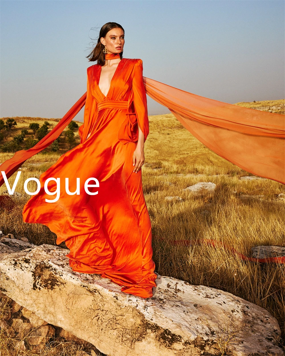 Customized Temperament Orange Chiffon Evening Dress Elegant V-Neck Long Sleeves Prom Dress Charming Special Occasion Gowns
Customized Temperament Orange Chiffon Evening Dress Elegant V-Neck Long Sleeves Prom Dress Charming Special Occasion Gowns
