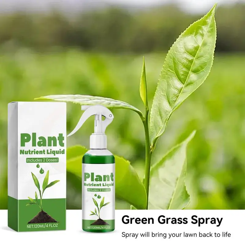 Liquid Green Grass Spray 120ml Grass Turf Paint Spray Turf Dye For Patchy Yards Stain Remover Seeding Colorant For Lawn Patch 
Liquid Green Grass Spray 120ml Grass Turf Paint Spray Turf Dye For Patchy Yards Stain Remover Seeding Colorant For Lawn Patch