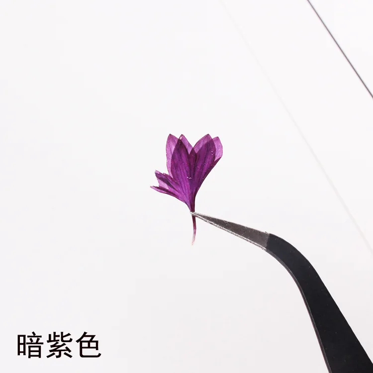 100Pcs Cornflower Small Petals DIY Resin Dried Flowers Phone Case Pressed Flowers Photo Frame Candle Aromatherapy Dried Flower Materials Nail Art Decorations
100Pcs Cornflower Small Petals DIY Resin Dried Flowers Phone Case Pressed Flowers Photo Frame Candle Aromatherapy Dried Flower Materials Nail Art Decorations