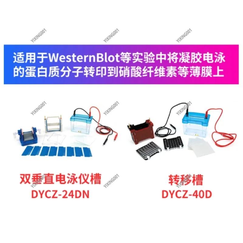 Мини-двойная вертикальная гелевая электрофорезная ячейка — высококачественная модульная система для экспериментов с разделением протечек ДНК
Мини-двойная вертикальная гелевая электрофорезная ячейка — высококачественная модульная система для экспериментов с разделением протечек ДНК