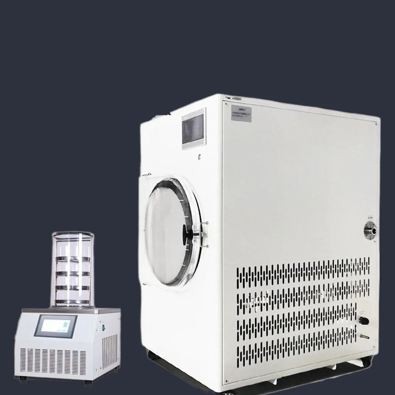Hot Demand Lab Vacuum Freeze Dryer: Low-Temp Preservation, Protect Active Ingredients, ISO Certified
Hot Demand Lab Vacuum Freeze Dryer: Low-Temp Preservation, Protect Active Ingredients, ISO Certified