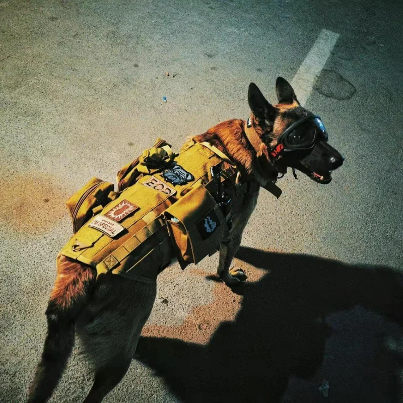 Large Dog Tactical Vest Dog Clothing Pet Chest Harness Vest Style Vest Detachable Outdoor Portable Comfortable Neck Protection
Large Dog Tactical Vest Dog Clothing Pet Chest Harness Vest Style Vest Detachable Outdoor Portable Comfortable Neck Protection