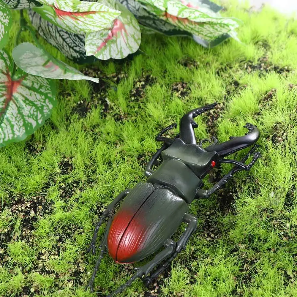 Aids Simulation Animals Fake Beetle Joke Toys Insect Insect Model Special Lifelike Model Simulation Beetle Beetle Toys
Aids Simulation Animals Fake Beetle Joke Toys Insect Insect Model Special Lifelike Model Simulation Beetle Beetle Toys