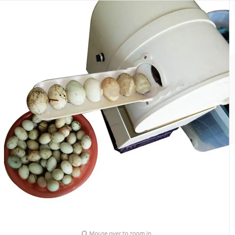 Automatic Dirty Duck Egg Cleaner Brush Type Commercial Farm Goose Egg Cleaning Machine Electric Egg Washing Machine
Automatic Dirty Duck Egg Cleaner Brush Type Commercial Farm Goose Egg Cleaning Machine Electric Egg Washing Machine