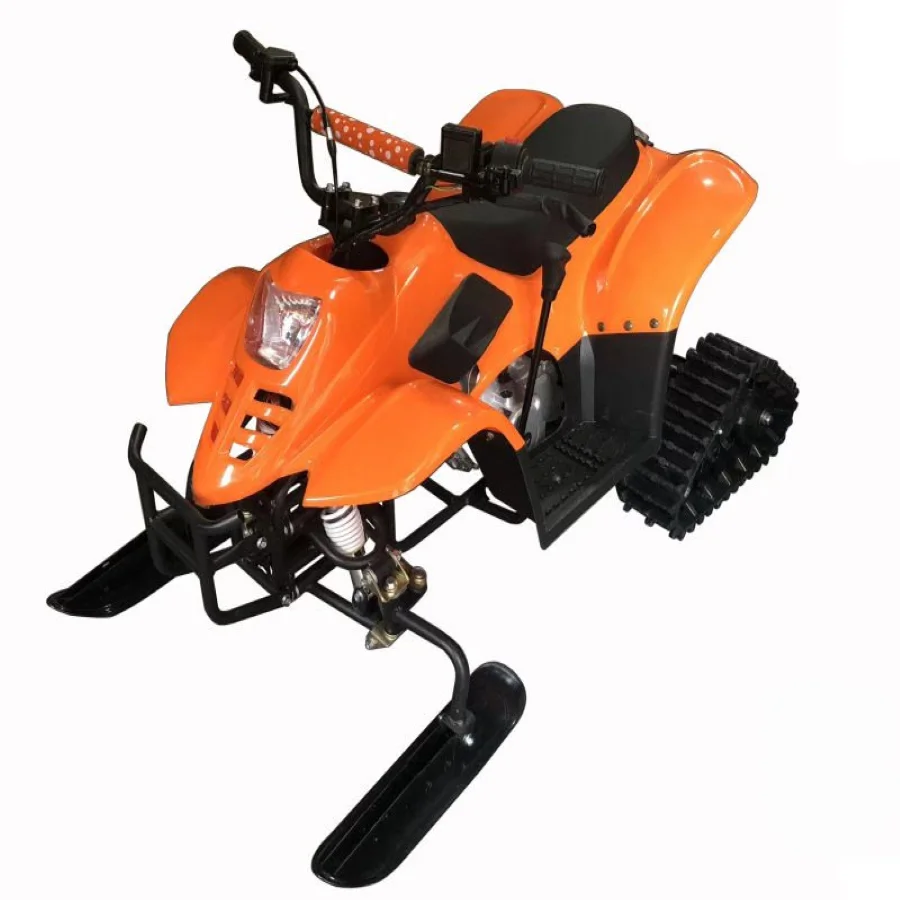 Direct Factory 4 Wheel Mini Electric Small snow dinosaur triangle track 125CC
Direct Factory 4 Wheel Mini Electric Small snow dinosaur triangle track 125CC
