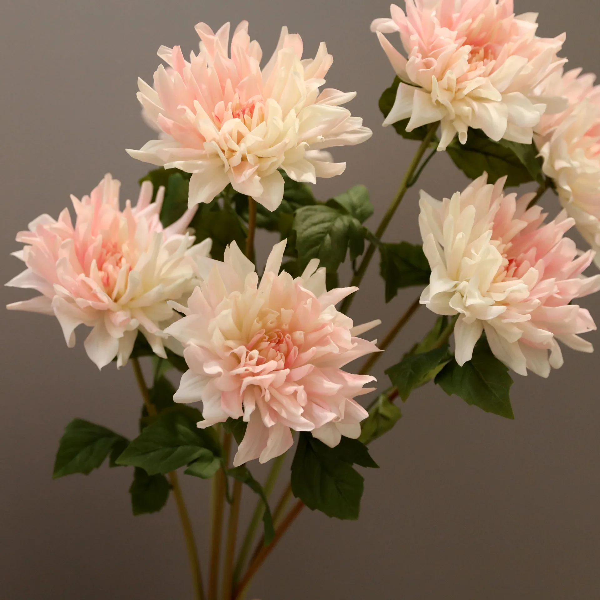 3 шт. искусственные увлажняющие Dahlias настоящие сенсорные цветы свадебные дорожные направляющие цветочная композиция украшение для дома и комнаты поддельные георгины
3 шт. искусственные увлажняющие Dahlias настоящие сенсорные цветы свадебные дорожные направляющие цветочная композиция украшение для дома и комнаты поддельные георгины
