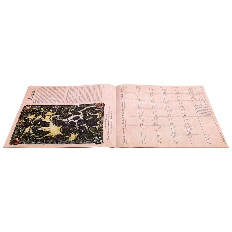 Артикул календаря ведьм Декор для дома 2025 Calenda 2025 Calenda Durables Witches' Calenda
Артикул календаря ведьм Декор для дома 2025 Calenda 2025 Calenda Durables Witches' Calenda