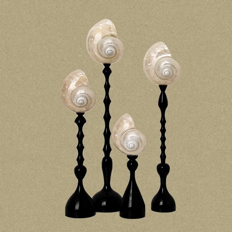 Medieval style moonlight snail ornament geometric shape natural conch
Medieval style moonlight snail ornament geometric shape natural conch