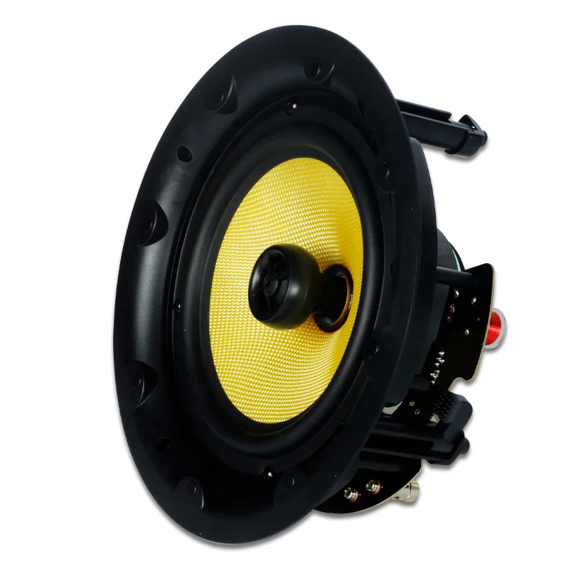 8 Inch 100W Home Theater 2.0 Wall Loudspeakers Passive in Ceiling Speaker
8 Inch 100W Home Theater 2.0 Wall Loudspeakers Passive in Ceiling Speaker