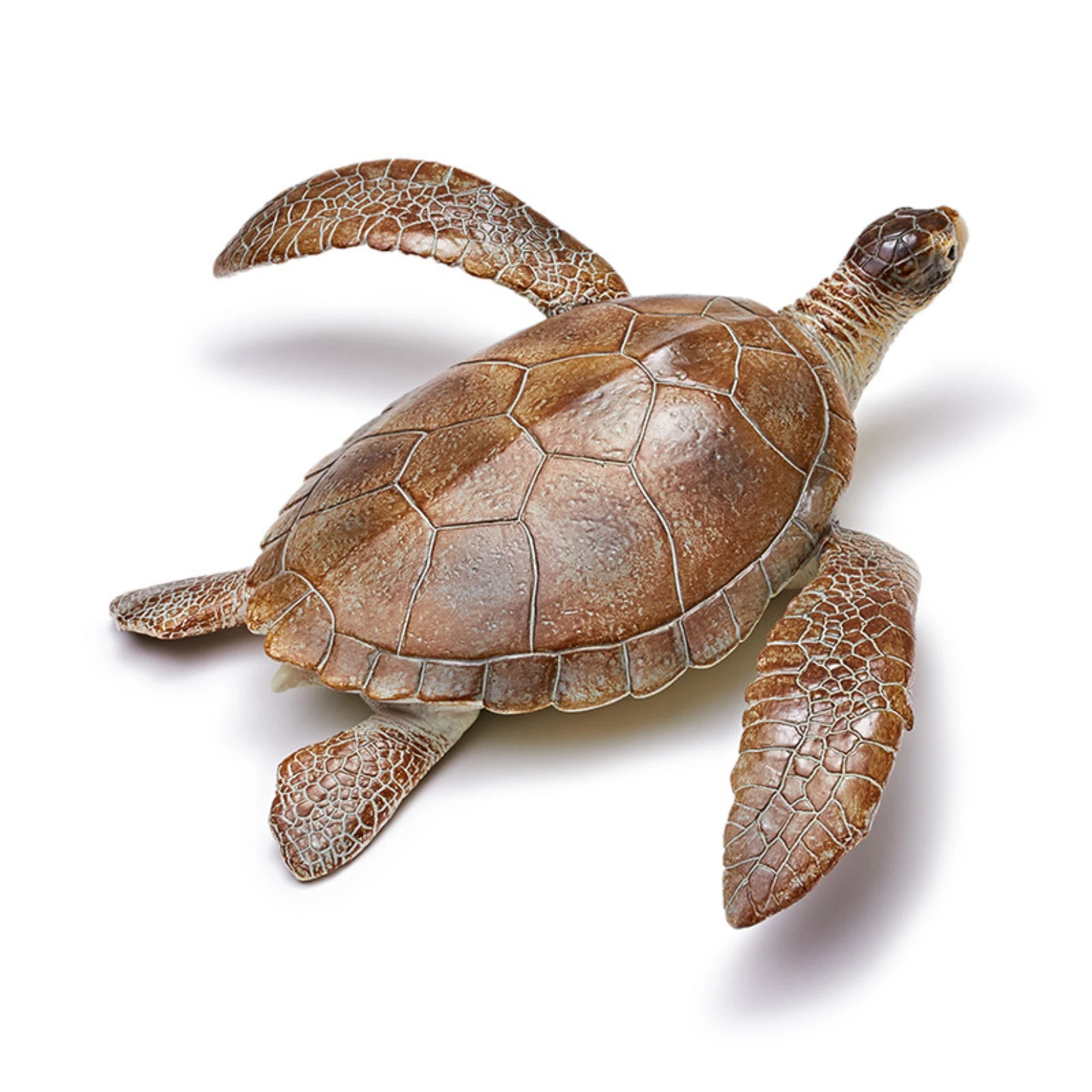 RECUR Realistic Sea Turtle Simulation Wild Ocean Animal Model Desktop Decoration Collection Birthday Gift Photographic Props
RECUR Realistic Sea Turtle Simulation Wild Ocean Animal Model Desktop Decoration Collection Birthday Gift Photographic Props