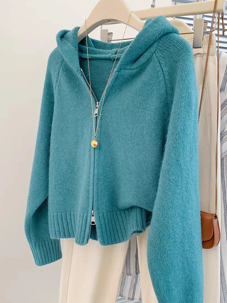 Blue hooded Sweater Women's 2024 Autumn and Winter Sense Double Zipper knitted Cardigan Top Jacket
Blue hooded Sweater Women's 2024 Autumn and Winter Sense Double Zipper knitted Cardigan Top Jacket
