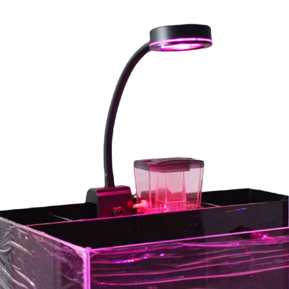 6x3W LED Aquarium Light Red Refugium LED For Algae Plant Growth 30-50cm Saltwater Freshwater Fish Plant Tank
6x3W LED Aquarium Light Red Refugium LED For Algae Plant Growth 30-50cm Saltwater Freshwater Fish Plant Tank