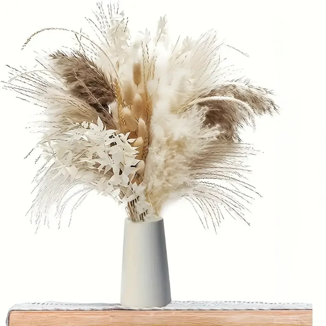 60 Piece Natural Reed Bouquet Boho Style Perfect for Farmhouse Table Party Home Decor Thanksgiving Birthday Wedding Arrangement
60 Piece Natural Reed Bouquet Boho Style Perfect for Farmhouse Table Party Home Decor Thanksgiving Birthday Wedding Arrangement