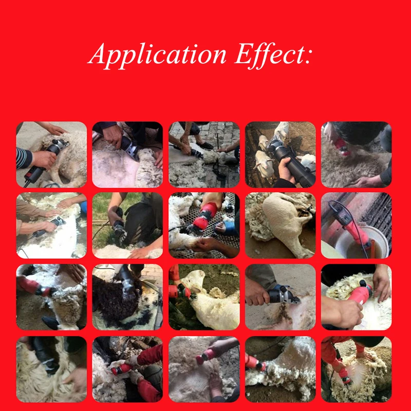 Electric Sheepclipper Electric Clipper Shearing machine Aluminum Box Package Best Sheep Coat Pet Sheep Grooming Wool Shears
Electric Sheepclipper Electric Clipper Shearing machine Aluminum Box Package Best Sheep Coat Pet Sheep Grooming Wool Shears