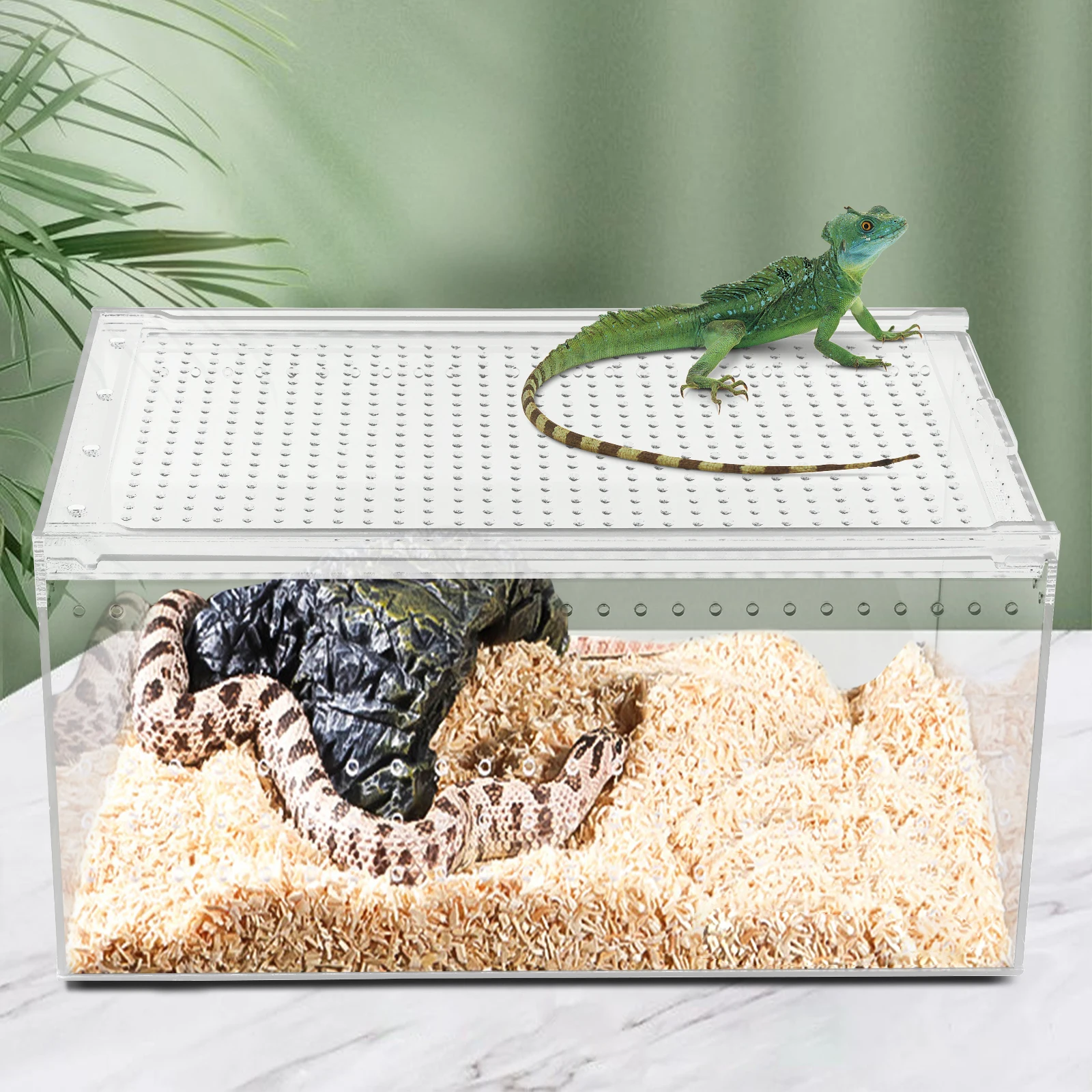Acrylic Reptile Pet Breeding Cage with Sliding Lid and Magnetic Closure, Sturdy, Terrarium for Horned Frogs, Scorpions, Snakes
Acrylic Reptile Pet Breeding Cage with Sliding Lid and Magnetic Closure, Sturdy, Terrarium for Horned Frogs, Scorpions, Snakes