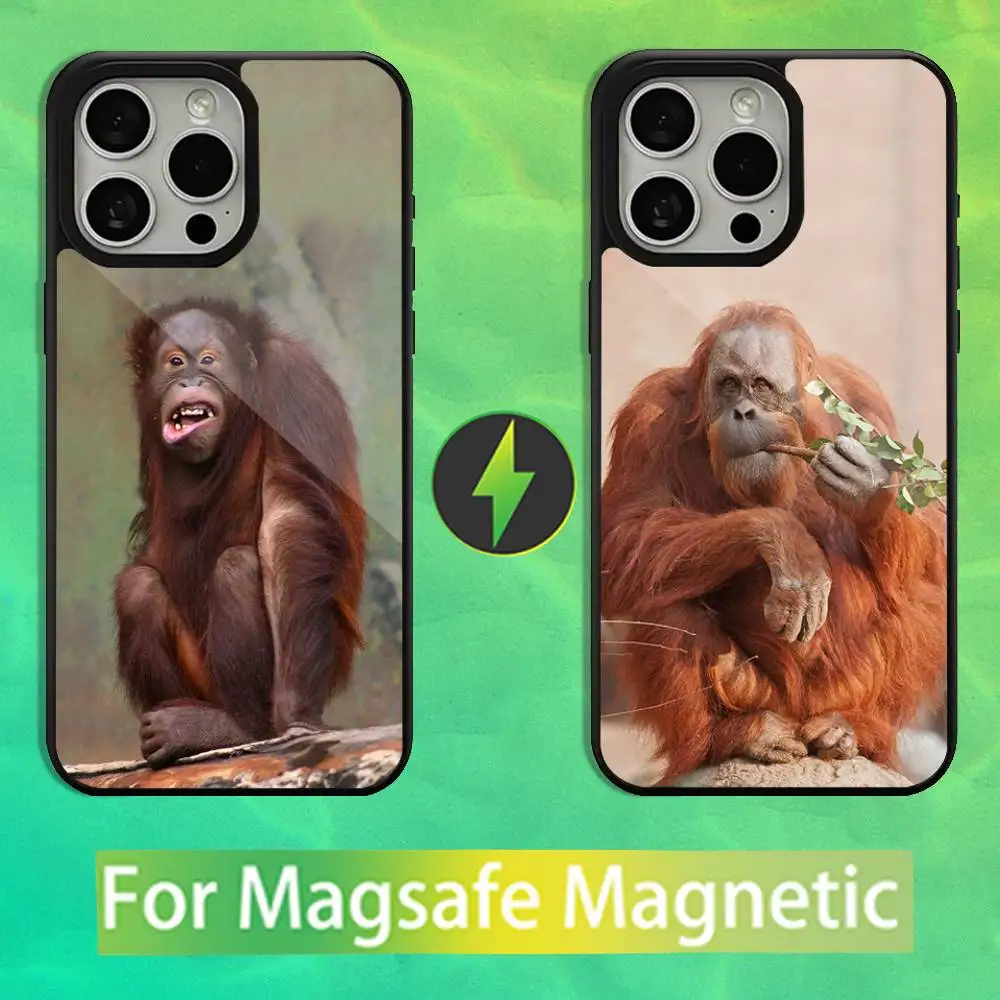 Red Baboon Funny Phone Case For iPhone 16,15,14,13,12,11,Pro,Max,Plus,Mini,Magsafe,Magnetic Wireless Charging Case
Red Baboon Funny Phone Case For iPhone 16,15,14,13,12,11,Pro,Max,Plus,Mini,Magsafe,Magnetic Wireless Charging Case