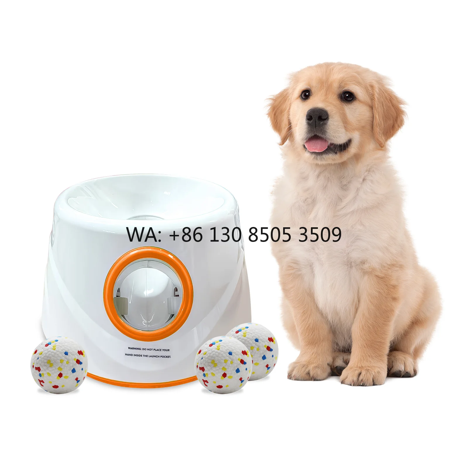 Factory Wholesale Small Size Automatic Dog Ball Launcher with 3 Pcs ETPU Balls Outdoor Toy for Dogs Distance 6/10/14M
Factory Wholesale Small Size Automatic Dog Ball Launcher with 3 Pcs ETPU Balls Outdoor Toy for Dogs Distance 6/10/14M