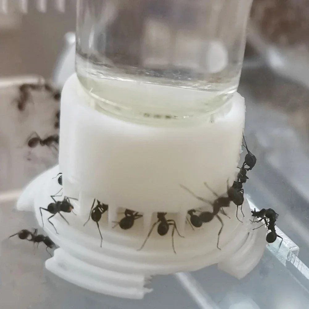Ant Farm Water Feeding Area Water Bowl for Ant Anthill Ant Nest Large Capacity Water Feeder Ant House Drinking Bottle Workshop
Ant Farm Water Feeding Area Water Bowl for Ant Anthill Ant Nest Large Capacity Water Feeder Ant House Drinking Bottle Workshop
