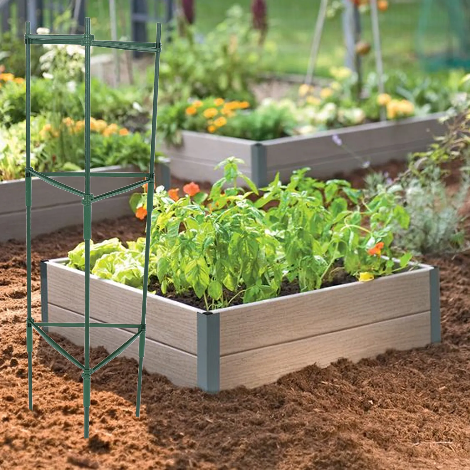 1 Set Vegetable Trellis Tomato Cages Garden Plant Climbing Frame Adjustable Support Rack for Outdoor Plant Growth
1 Set Vegetable Trellis Tomato Cages Garden Plant Climbing Frame Adjustable Support Rack for Outdoor Plant Growth